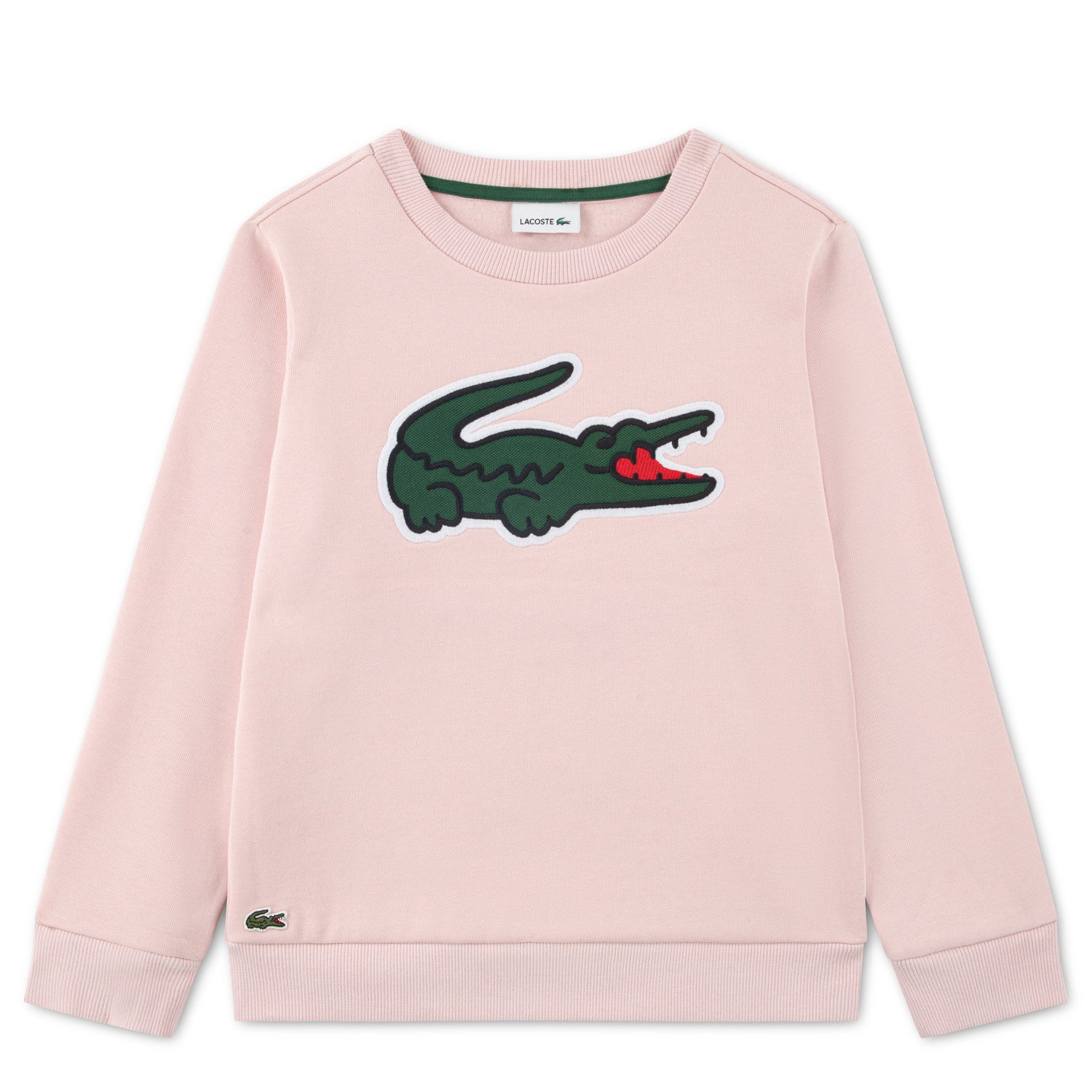 Applique Sweatshirt (Big Kid)