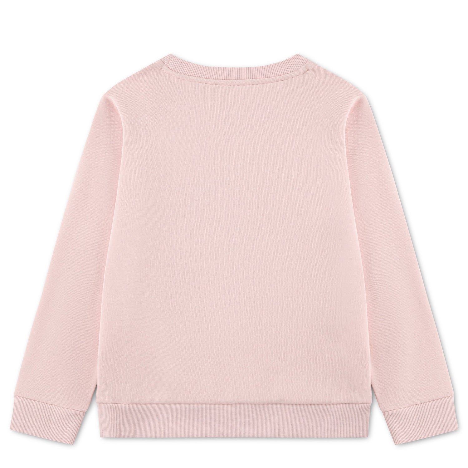 Applique Sweatshirt (Big Kid)