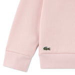 Applique Sweatshirt (Big Kid)