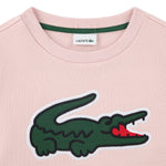 Applique Sweatshirt (Big Kid)